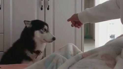 吃瓜群众翻白眼笑哭,揭秘网络热梗背后的欢乐与无奈