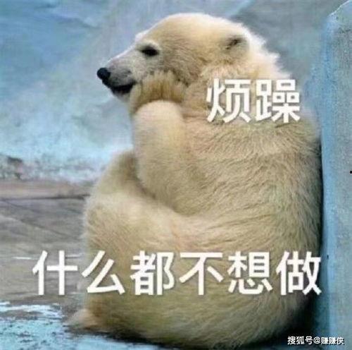 漂亮年轻吃瓜群众图片大全,揭秘网红吃瓜群众的美颜瞬间