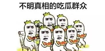 吃瓜群众是不是没有脑子,无脑围观还是理性思考？