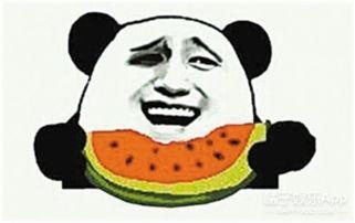 鹦鹉吵架吃瓜群众,吃瓜群众笑翻天