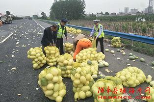 文安新鲜事吃瓜群众,吃瓜群众热议的社区热点盘点