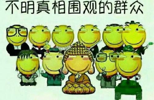 笑看众禽吃瓜群众,揭秘“吃瓜群众”的趣味人生