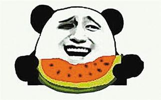 折纸吃瓜群众在哪里,探寻折纸文化的趣味与魅力