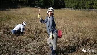 吃瓜群众我的人间烟火,一场味蕾与心灵的盛宴