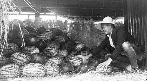 长清吃瓜群众视频曝光,揭秘背后惊人真相